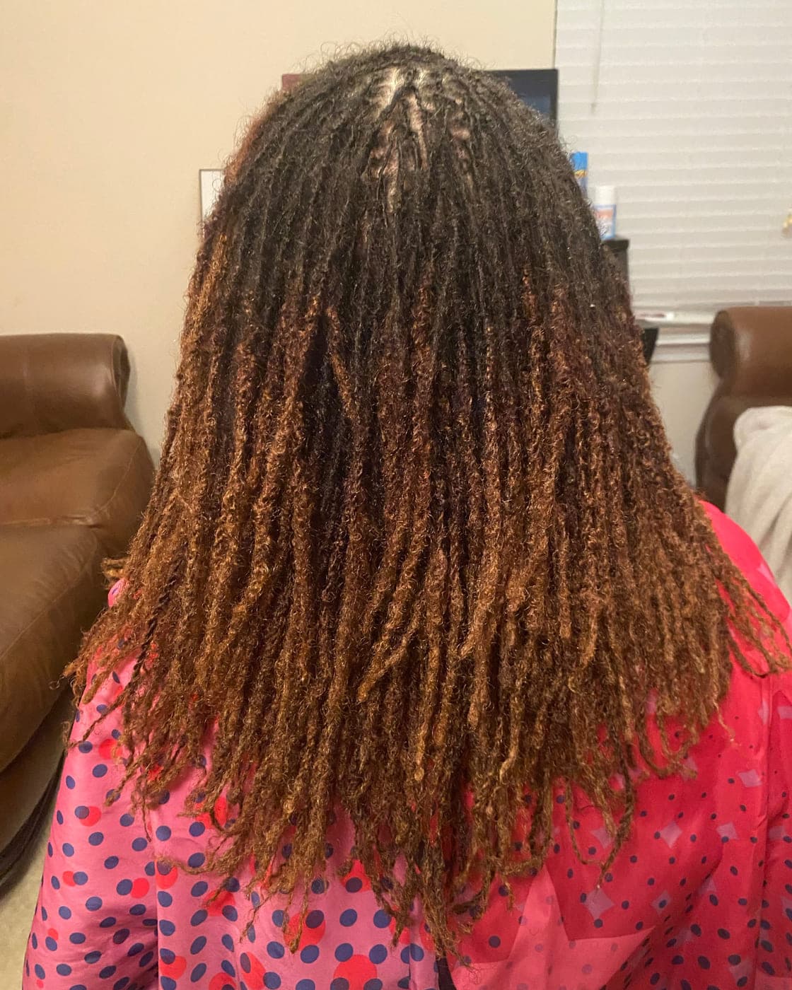 Back view of long brown locs with warm, lighter ends